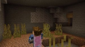 ОТКУДА СТРАННЫЕ КОМНАТЫ ПОД ЗЕМЛЕЙ Майнкрафт Теория - MrGridlock  пеезолив с ютуба