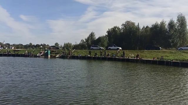 Платник сытый кот, можно половить форель но не сеегодня! Отсосали не по детски! смотреть онлайн