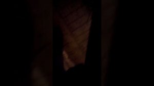 Приора воет гур ???