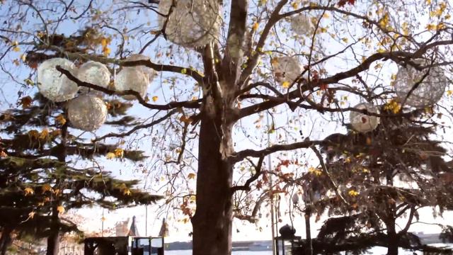 Прогулка по зимней Ялте. 15.12.2020 смотреть онлайн