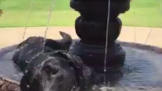 Удачно устроился смотреть онлайн