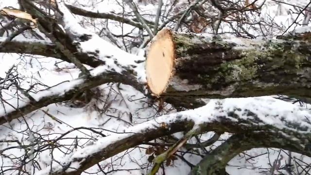 Заготовка Липы. Обледенение. Исчезнувшая деревня смотреть онлайн