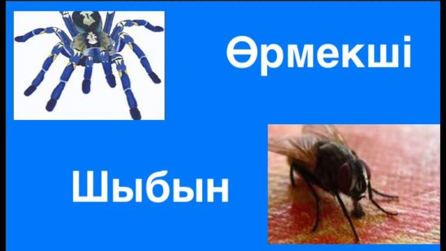 Әдебиеттік оқу 4- сынып 41 сабақ. Өнер таусылмас азық. смотреть онлайн