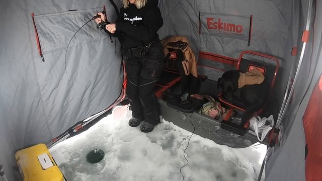 CRAZY UNDERWATER FOOTAGE - Ice Fishing Smallmouth Bass смотреть онлайн