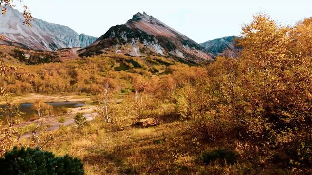 Vachkazhec Вачкажец осенью.#kamchatka #djimavic #autumn #nature #осень #2023 смотреть онлайн