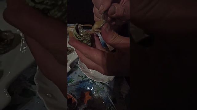 дары Японского моря в приморском крае смотреть онлайн