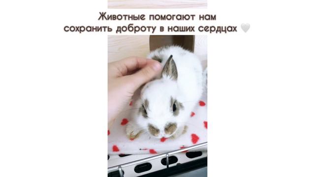 Важно ли быть добрым?🤍 смотреть онлайн
