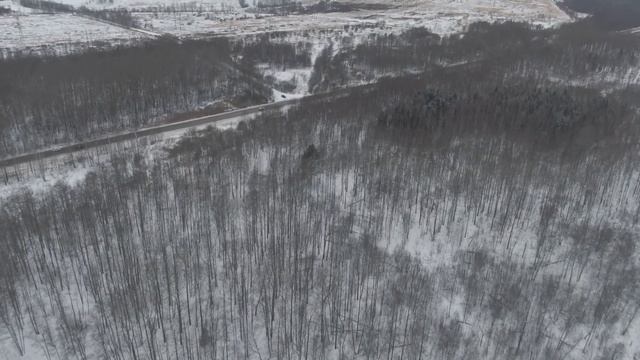 охота лось с квадрокоптера mavic2 zoom смотреть онлайн