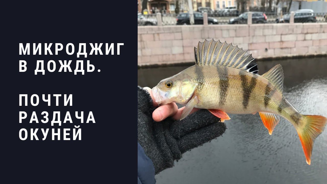 #2 #ультралайт Рыбалка Санкт-Петербург. Малая Невка смотреть онлайн