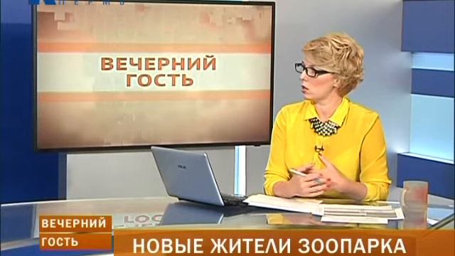 Вечерний гость. Новые жители зоопарка смотреть онлайн
