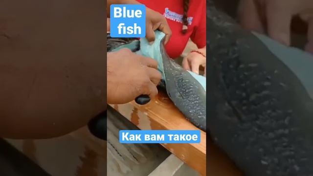 Blue fish голубая рыба #food #meat #fish #вкусно #еда смотреть онлайн