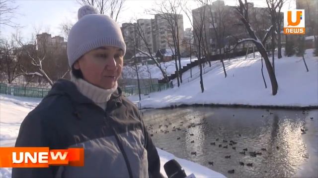 U News Почему утки, обитающие в окрестностях Уфы, не улетают на юг? смотреть онлайн