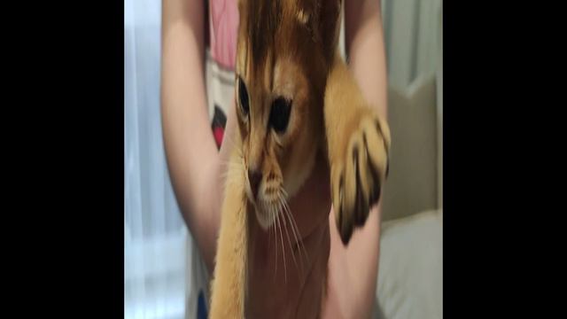 Ваше интервью??? Мем хочу штоб залетело