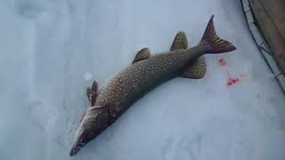 С братом Сергеем на Богучанском водохранилище.mp4 смотреть онлайн