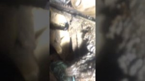 метки грм пежо 306 1 4 бензин 1997 год