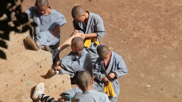 Стажировка в Шаолине июнь 2015 г смотреть онлайн