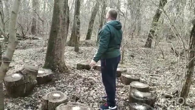 Богатырь-Кормит Птиц и Духов Леса смотреть онлайн