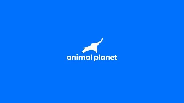 Animal Planet On Demand смотреть онлайн