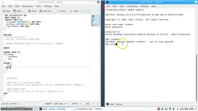 Week 06 Custom Error Exceptions смотреть онлайн