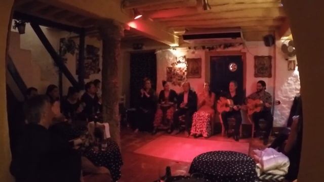 Flamenco Ana Maria 2014 смотреть онлайн