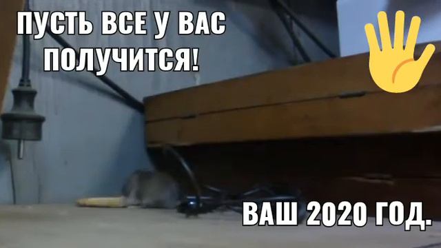 Новый год не успел прийти а уже трудно смотреть онлайн