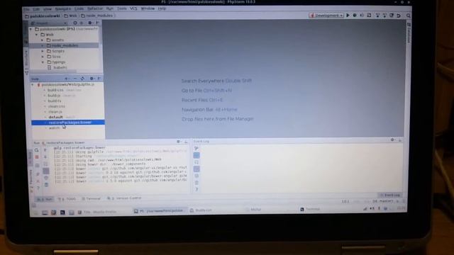 Phpstorm bower dependency manager via gulp-task смотреть онлайн