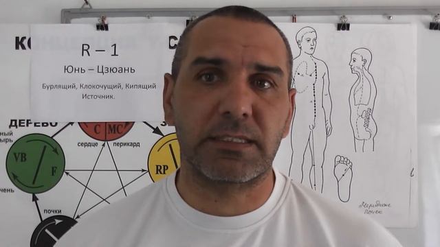 Фильтры  - Почки