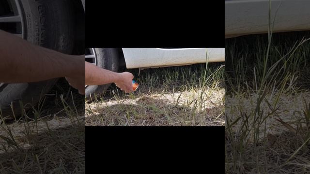 ДАВИМ ПЕНУ смотреть онлайн