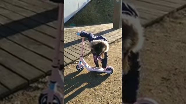 Elektrická koloběžka pro děti Ninebot Zing 8 смотреть онлайн