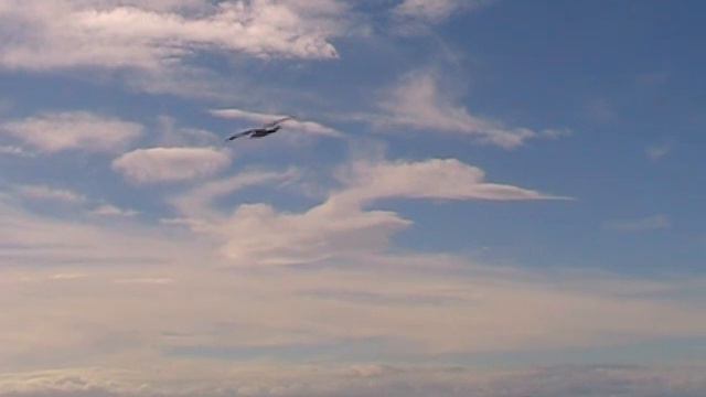 The Most Relaxing vedio of Auckland-Relax with Nature смотреть онлайн