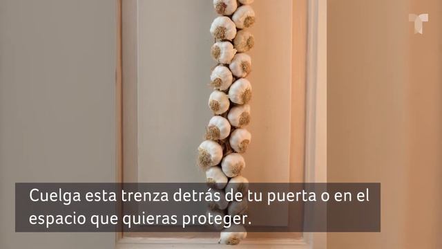 Tres Formas De Usar El Ajo Como Amuleto De Protección | Astrología | Telemundo