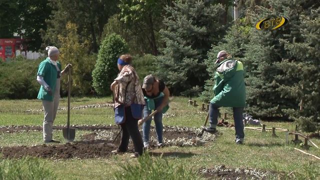 Живая радуга цветов смотреть онлайн