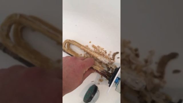 Cleaning of water heater Gorenje смотреть онлайн