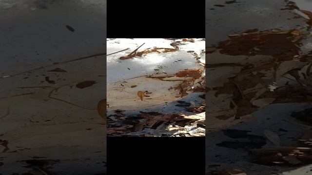Весенние сюрпризы.mp4 смотреть онлайн