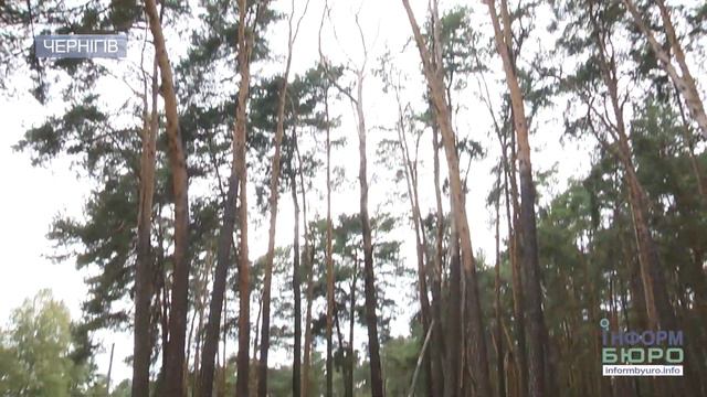Харківські лісівники не на жарт налякали жителів Чернігова смотреть онлайн
