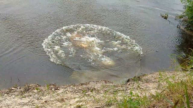 Коротенько про відпочинок на Десні в липні 2022 року... смотреть онлайн