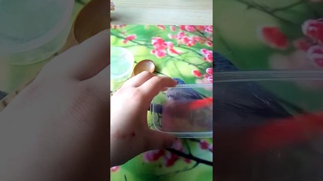 Слайм из шампуня, соли и геля для душа. смотреть онлайн