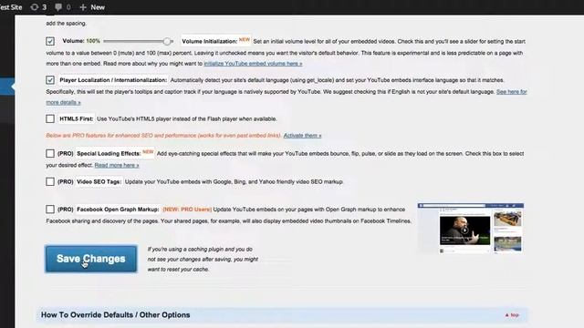 Easy WordPress Translation: How to translate YouTube's embedded player смотреть онлайн