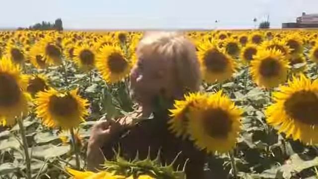 ЗА САМОЙ ДАЛЬНЕЙ ДАЛЬЮ. Стихи Людмила Бабкина, муз. исполнение Иван Кондратьев (гармонь) смотреть онлайн