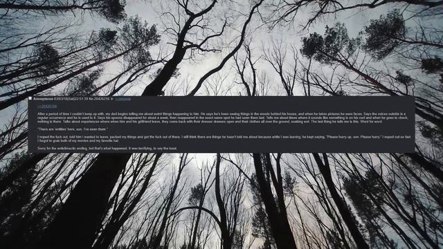 4chan Greentext Compilation Vol. 22 | 4chan /x/ | Creepy Horror Stories