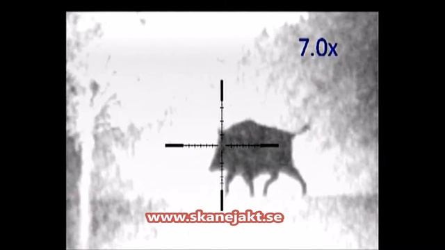 Pulsar Digisight N970 LRF смотреть онлайн