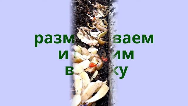 #Как бороться с медведками #борьба #медведка #решение смотреть онлайн