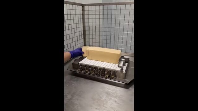 Матричная сырорезка APS Group (АПС Групп)