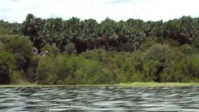 Южная Америка. День 22-й. Тур по Амазонке смотреть онлайн