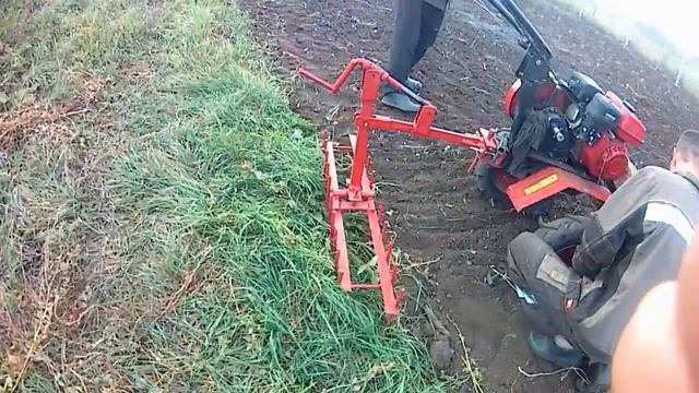 ✅После уборки картофеля, посадили поле горчицей. Мотоблок Ока с самодельными граблями смотреть онлайн