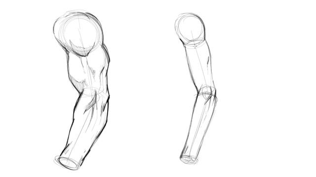How to Draw Arms Male Vs Female смотреть онлайн
