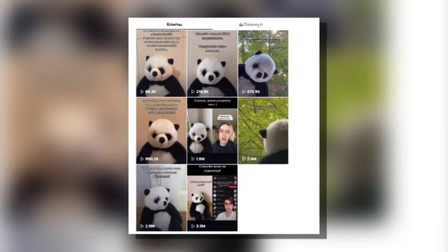 Robertmuha303 (Роберт Муха 303) - КТО ЭТО ТАКОЙ И КАК ПОЯВИЛИСЬ МЕМЫ С НИМ?