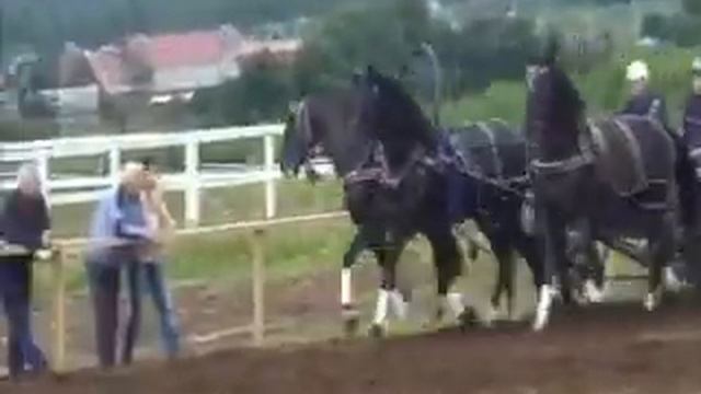 Ах, рысаки смотреть онлайн