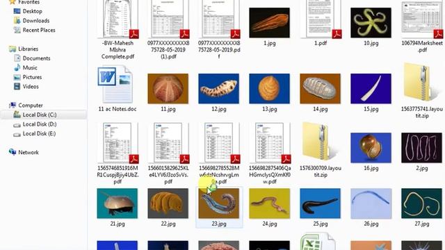 Bootstrap Lecture 5 | short trick to design a website by boostrap | easy way to design a website смотреть онлайн