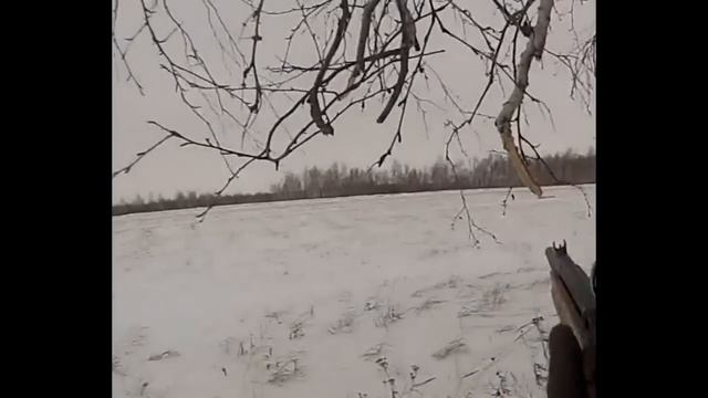Охота на косулю! смотреть онлайн